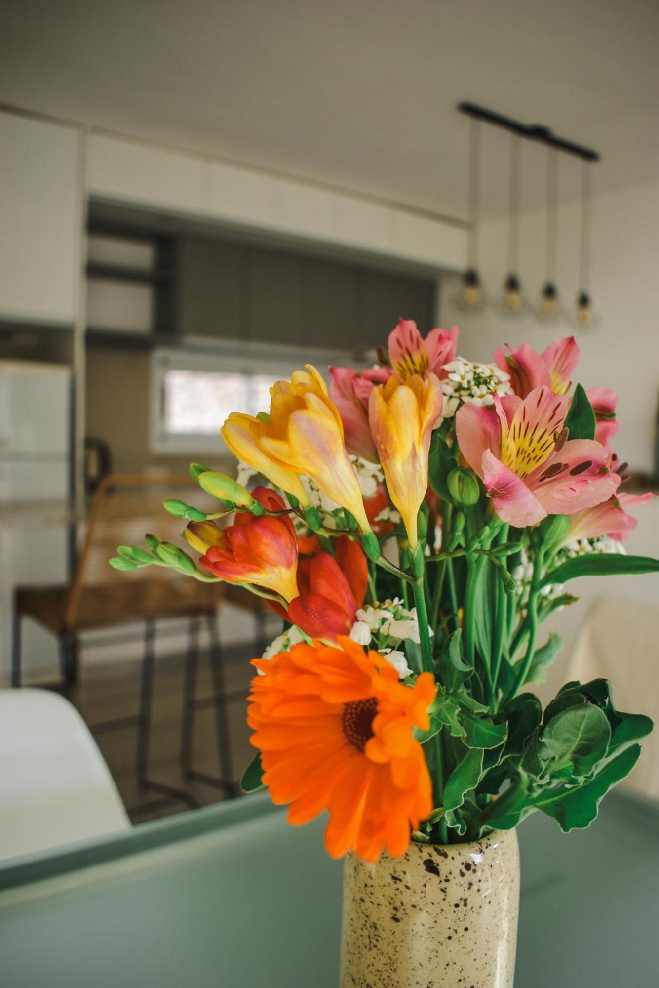 Apartment Conana